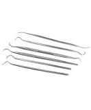 AB Tools Stainless Steel Dental Tool Set - 6pc Dentist Teeth Cleaning Hygiene Kit | International Shipping - Buy Online on GoSupps.com