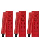 Schwarzkopf Igora Royal 6-88 - Professional Hair Color Set (3 x 60ml) | Shop Internationally - Buy Online on GoSupps.com
