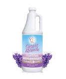 Carpet Miracle Lavender 32 Fl Oz - Deep Stain & Odor Remover for Machine Use - Rug, Upholstery, and Carpet Cleaner - Light Lavender Scent - Pack of 1 - Buy Online on GoSupps.com