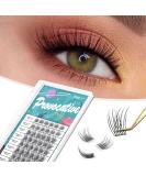 8mm Lash Clusters - C Curl Individual Eyelash Extensions for a Natural Look | Super Soft & Lightweight | International Shipping - Buy Online on GoSupps.com