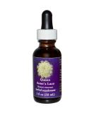 FLOWER ESSENCE SERVICES Dropper Herbal Supplements, Queen Annes Lace, 1 Ounce - Buy Online on GoSupps.com