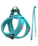 UVTQSSP Lightweight Dog Harness for Small Dogs - Padded XS Puppy Harness with Leash - Light Blue - Buy Online on GoSupps.com