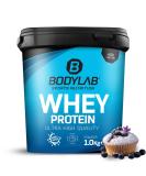 Bodylab24 Whey Protein Powder - Blueberry Muffin 1kg | High Protein Low Sugar Delicious Taste - Buy Online on GoSupps.com