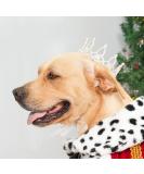 Shop Lovelyshop Royal Bengal Tiger Diamond & Pearl Crown for Dogs & Cats - Silver XL Hair Accessory - Buy Online on GoSupps.com