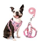 Rennaio No Pull Dog Harness & Leash Set - Adjustable & Ultra Breathable Padded Chest for Small/Medium Dogs - Pink M - Buy Online on GoSupps.com