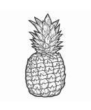 Dopetattoo Six sheets Temporary Tattoos for Men and Women Pineapple Hawaiian Fake tattoos for Men and Women Neck Arm Chest - Buy Online on GoSupps.com