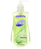 Buy Dial Liquid Hand Soap with Moisturizer & Aloe - 7.5 Oz | Hydrating Hand Wash for Soft Skin | International Shipping Available - Buy Online on GoSupps.com
