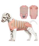 Shop Hjumarayan Breathable Post-Op Dog Body - Ideal for Castration Recovery | Medical Support for Small to Large Dogs - Orange Striped - Buy Online on GoSupps.com