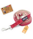 Buy Kuri Pai 3m Dog Leash for Large Dogs - Comfortable & Sustainable Hemp - Red/Beige | Ideal Rehabilitation Leash - Buy Online on GoSupps.com