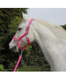 Rhinegold Carnival Headcollar & Matching Rope Set Cob Bright Pink - Buy Online on GoSupps.com