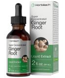 Ginger Root Extract | 2 oz | Alcohol Free Supplement | Super Concentrated | Vegetarian, Non-GMO, Gluten Free Liquid | by Horbaach - Buy Online on GoSupps.com