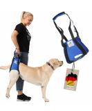 Nature PET Carrier for Dogs - Stair Aid Lift Strap for Older & Sick Dogs - Black L (1 Pack) | International Shipping - Buy Online on GoSupps.com