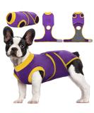 Kuoser Dog Body Suit for Post-Op Recovery - Breathable Leakage Protection & Anti-Licking Design - Purple M (1 Pack) - Buy Online on GoSupps.com