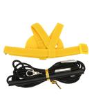 Premium Pet Parrot Bird Dishes & Leash - Adjustable Outdoor Flight Set for Parrots & Nymphensitties | Training Rope & Flight Guidance - Buy Online on GoSupps.com