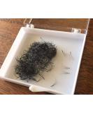 Lash by Holly 4D Premade (Hand Made) Fan Lashes (500 Fans/Tray) for Eyelash Extension C Curl and D Curl 0.07 Thickness Langth from 9mm-15mm ... (10mm4d) - Buy Online on GoSupps.com