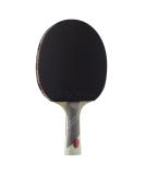 JOOLA Omega Speed - Table Tennis Racket for Advanced Training with Flared Handle - Tournament Level Ping Pong Paddle with Vizon Table Tennis Rubber- Designed for Speed Green - Buy Online on GoSupps.com