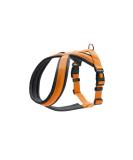 Buy Hunter Harness London Comfort L/1 Orange - Premium Quality International Shipping - Buy Online on GoSupps.com