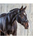 Sunride English Combined Bridle Berlin with Reins - Soft Real Leather Adjustable & Anatomical (Cob Black) | International Shipping Available - Buy Online on GoSupps.com