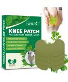 WILD+ Knee Pain Relief Patches 40PCS Pain Relief Patch Natural Herbal Heat Patches Wormwood Knee Heat Pads for Relief Arthritis Neck/Shoulder/Back/Joint Pain Muscle Soreness 40 PCS - Buy Online on GoSupps.com