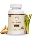 Acid & Indigestion Relief | Doctor-Formulated Antacid Alternative with Ginger Curcumin & Spearmint - 30 Servings - Buy Online on GoSupps.com