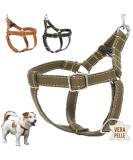 Dogissimi Leather Dog Harness for Small & Medium Dogs - Adjustable Ergonomic Handmade in Italy (Size L - Military Breast 52-69 cm) - Buy Online on GoSupps.com