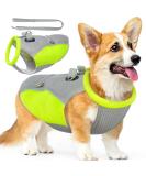 Shop Hjyokuso Cooling Vest for Dogs - Summer Cooling Jacket for Small Medium & Large Dogs - Perfect for Outdoor Activities & Training - Buy Online on GoSupps.com