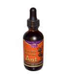 Buy Dragon Herbs Changbai Mountain Ant Extract Drops - 2 fl oz | Premium International Shipping - Buy Online on GoSupps.com