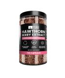 Hawthorn Berry Extract (730 Capsules) 100% Pure & Natural, Potent, Non-GMO & Gluten-Free, Made in USA (1275 mg Serving) 730 Count (Pack of 1) - Buy Online on GoSupps.com