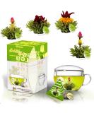 Creano Tea Flowers Gift Set - Erbl hTeelini Green Tea with Glass & 8 Cup Format Tea Flowers - Perfect Christmas Gift - Buy Online on GoSupps.com