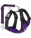 Slowton Dog Harness with Safety Belt for Car | Breathable Dog Seat Belt with 2 Carabin Hooks (Purple Large) - Secure Your Pet's Safety - Buy Online on GoSupps.com