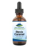 Caramel Stevia Liquid Drops | Natural Sweet Caramel Flavor | Alcohol Free & Kosher | 2oz Glass Bottle - Buy Online on GoSupps.com