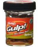 Berkley Gulp! Earthworm Fishing Soft Bait Brown 4" - Buy Online on GoSupps.com