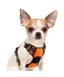 Adjustable No Pull Dog Harness - Padded Front Puppy Vest with Handle - Reflective Breathable Mesh for Outdoor Adventures - Comfort Control - Orange (1 Pack) - Buy Online on GoSupps.com
