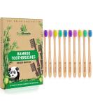 EcoShoots Adults Bamboo Toothbrushes with Medium Bristles - Family Pack of 10 Natural Bamboo Toothbrush - Eco-Friendly Natural Wooden Toothbrush - Organic Biodegradable Handle - BPA Free Tooth Brushes Medium 10 Pack - Buy Online on GoSupps.com