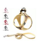 Suredoo Dog Harness for Small Dogs with Leash - Reflective Breathable Anti-Training Dishes - Perfect for Small to Medium Dogs (Beige XL) - Buy Online on GoSupps.com