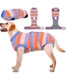 Kuoser Dog Recovery Suit - After Surgery Body for Male & Female Dogs | Breathable E-Collar Alternative | Anti-Wound Suit in XL Orange & Blue - Buy Online on GoSupps.com