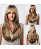 Shop Testar Blonde Brown Ombre Wigs for Black Women | Long Layered Heat-Resistant Synthetic Wig for Daily & Party Use - Buy Online on GoSupps.com