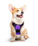 Eagloo Medium Dog Harness - Adjustable Anti-Train Harness with Reflective Strips for Walking & Jogging | Durable Purple Design (1 Pack) - Buy Online on GoSupps.com