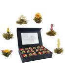 Creano 18er tea blum gift set blossomed - white tea - in a noble magnetic box with viewing window & silver embossing white tea 18 pieces (1 Pack) - Buy Online on GoSupps.com
