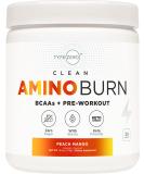 Type Zero AminoBurn - Sugar Free Peach Mango BCAA Pre Workout & Post Workout Supplement | 30 Servings | Keto Friendly Amino Acids - Buy Online on GoSupps.com