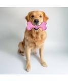 Robust & Durable Dog Chewing Bones - Natural Rubber Toys for Aggressive Chewers | Pink M (1 Pack) | Ultimate Dental Care & Boredom Relief - Buy Online on GoSupps.com
