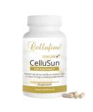 Buy Cellufine Cellusun with Nutroxsun - 60 Vegan Capsules | Skin-Friendly Allergen-Free Gluten-Free Lactose-Free Additive-Free - Buy Online on GoSupps.com