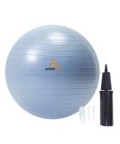 Primasole 25.6 Exercise Ball for Balance Stability | Yoga, Pilates, Fitness | Pale Gray w/ Inflator Pump | Home, Office, Gym - Buy Online on GoSupps.com