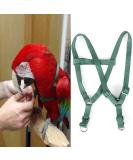 Yuehuam Adjustable 120cm Parrot Flying Leash Anti-Bite Training Cable for African Gray Cockatoos Conures & Reptiles - Buy Online on GoSupps.com