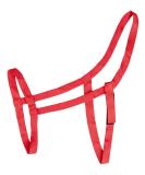 WALDHAUSEN Pasture Halter for Warmbloods - Red WB | Shop Quality Equestrian Gear - Buy Online on GoSupps.com