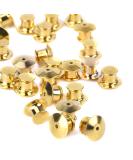 eBoot 30pc Golden Locking Pin Keepers Backs - No Tool Needed - Buy Online on GoSupps.com