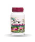 Nature's Plus Herbal Actives Milk Thistle Extended Release 500 mg 30 Tablets - Buy Online on GoSupps.com