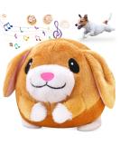 Non-Toxic Moving Dog Toys Ball | Active Plush Pet Toys for Training | Bite-Proof & Safe for International Shipping - Buy Online on GoSupps.com