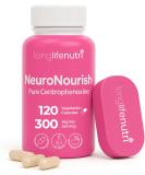 Centrophenoxine 300 mg - 120 Vegetarian Capsules | Supplement Made in USA | Cognitive Enhancer Nootropic | Promotes Healthy Aging & Brain Function | Supports Memory & Focus | 300mg Pure Powder Pills 120 Count (Pack of 1) - Buy Online on GoSupps.com