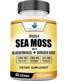 American Standard Supplements Irish Sea Moss 1200mg, Bladderwrack 1200mg and Burdock Root 225mg Per Serving - Vegan, Gluten Free, Non-GMO, 120 Capsules, 40 Servings - Buy Online on GoSupps.com